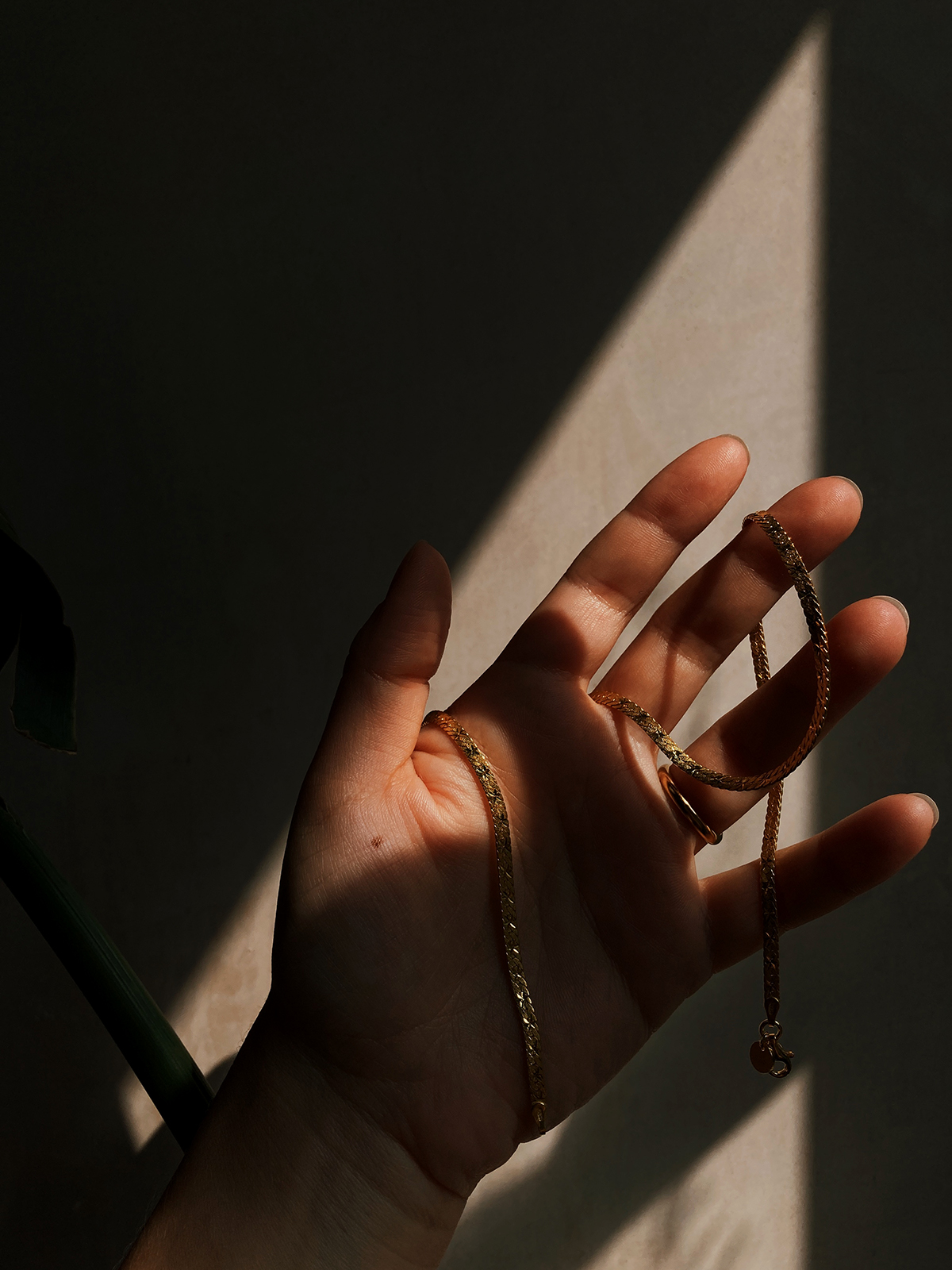 Hand in dramatic shade and sunlight, with Daisy x Estee Lalonde snake chain wrapped around fingers.